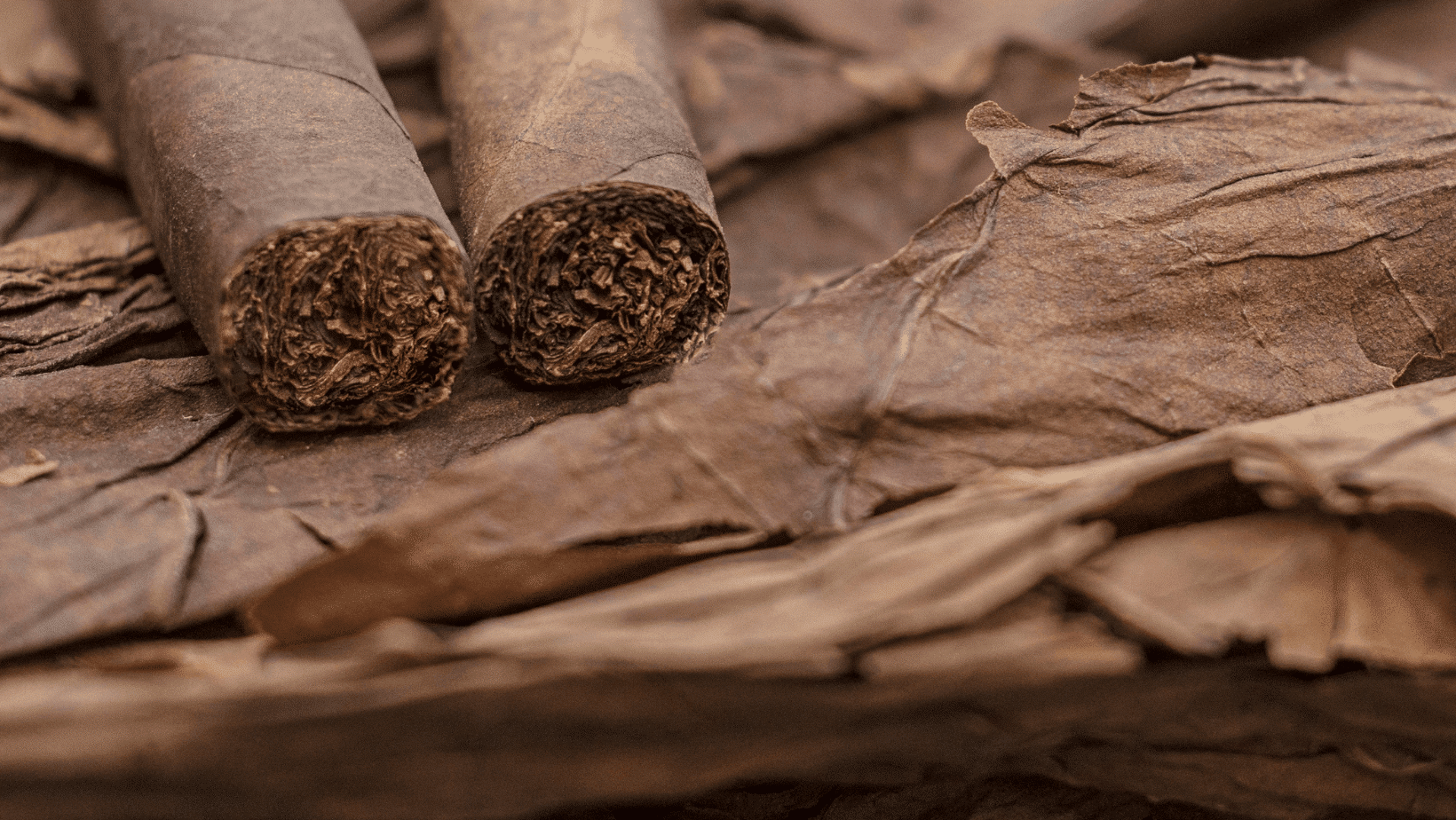What Is A Maduro Cigar Wrapper?