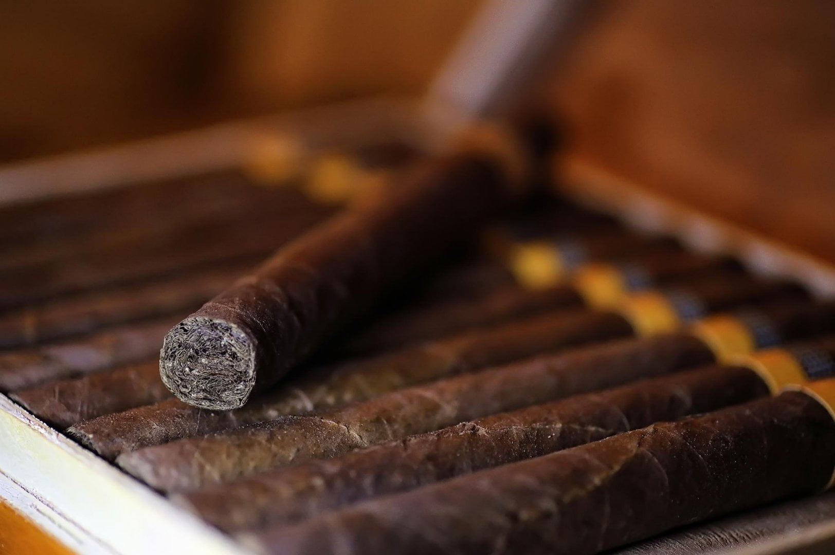 Buying Cigars Online Or From Your Local Cigar Shop