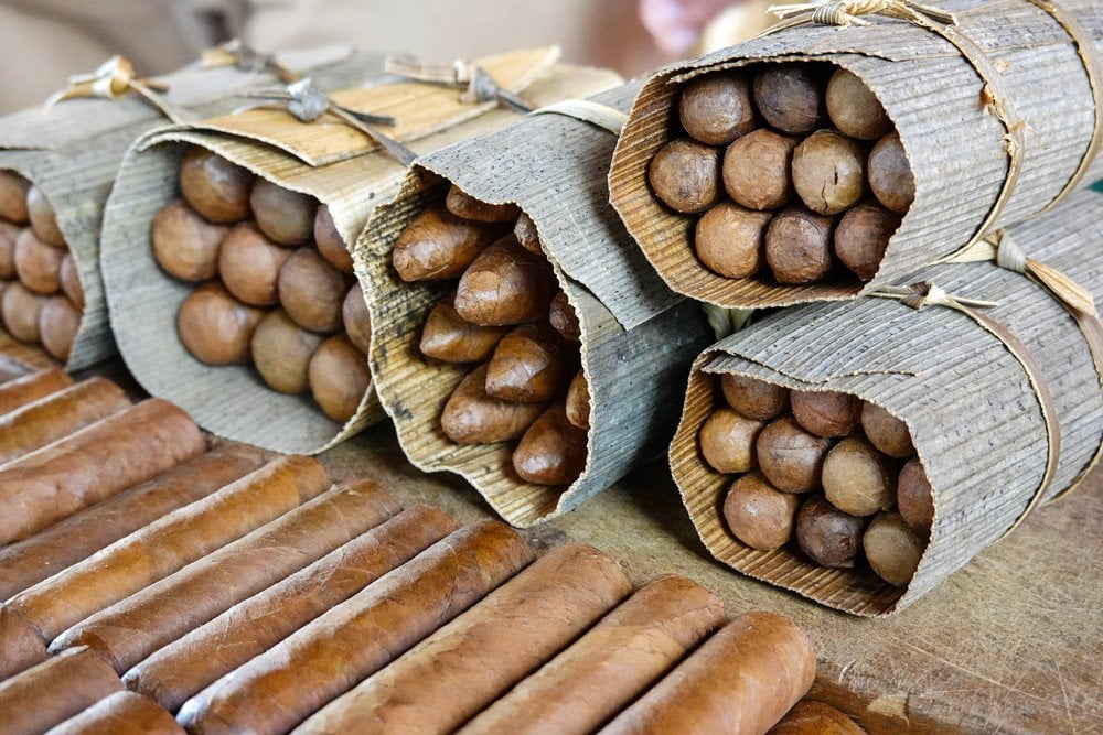 how to keep cigars fresh