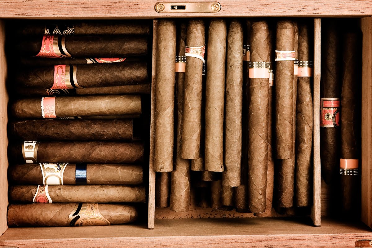 Cigars in a wooden cabinet with explained sizes.