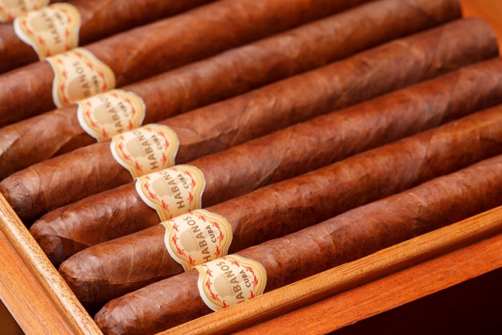 A collection of hand-rolled, tasting cigars in a wooden box.