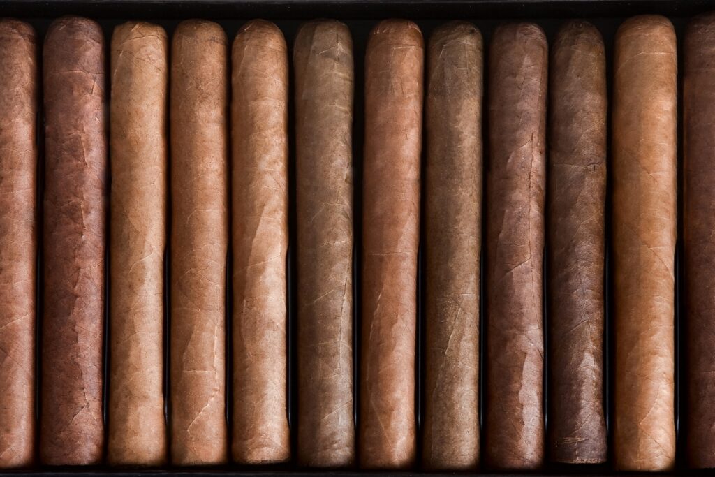 A close-up view of a collection of neatly arranged cigars showcasing current cigar trends, with varying shades of brown in a black box.