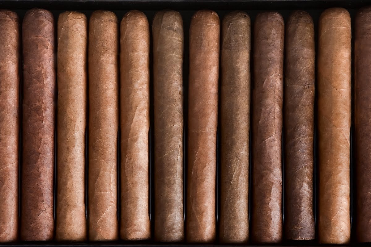 Cigar Trends: Unveiling the Newest Fads in Smoking Culture