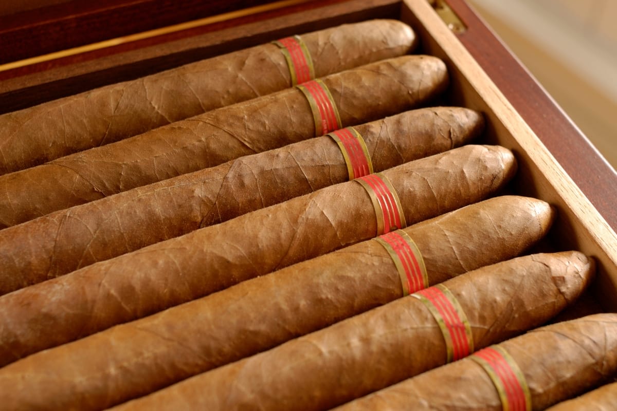 A wooden box filled with neatly arranged gourmet cigars, each wrapped with a red and gold band near the tip.