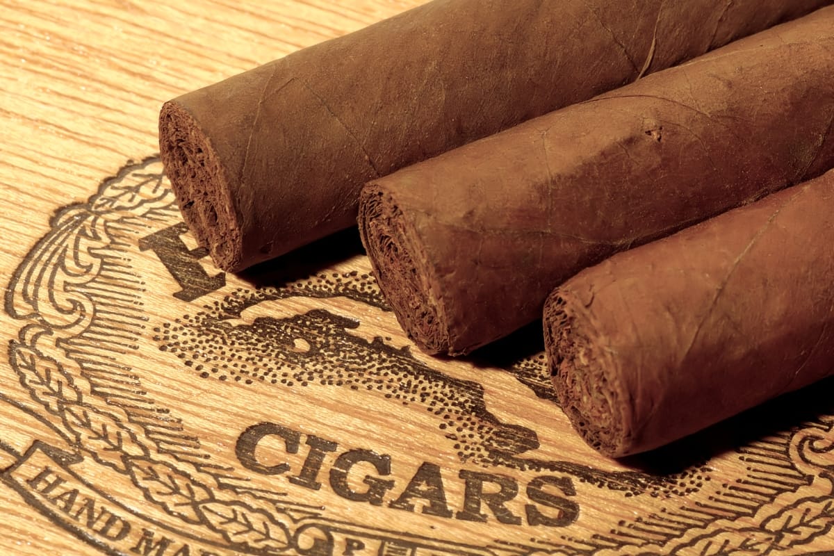 Three brown cigars rest on a decorative wooden cigar box lid, evoking the allure of travel destinations for cigar lovers.